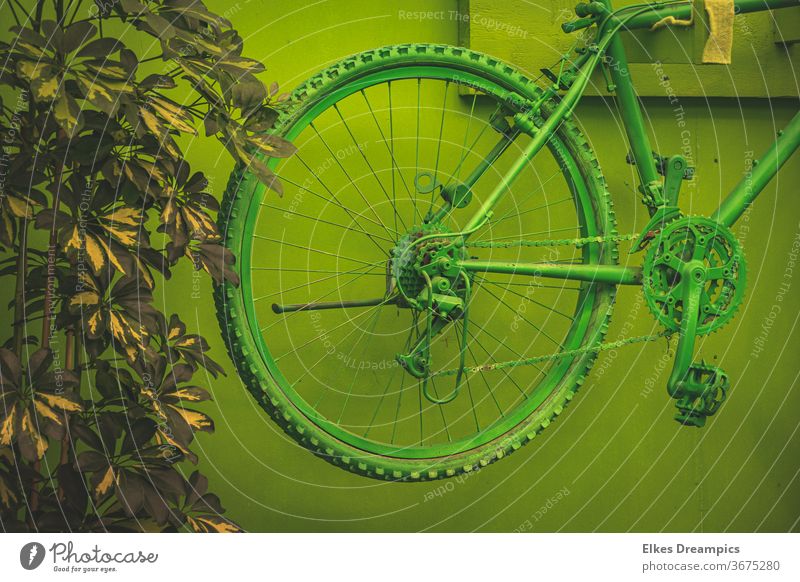 Detail of a green bicycle on a green wall camp-lintford Decoration Bicycle national horticultural show