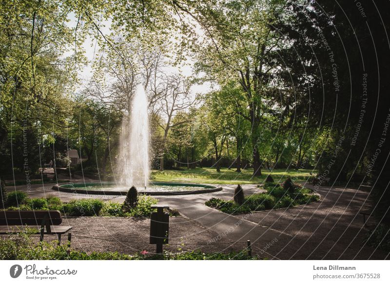 Goethe Park Landau Landau in the Palatinate landau Green space Town Small Town out Rhineland-Palatinate palatinate Well cloudy Water Bench Places huts