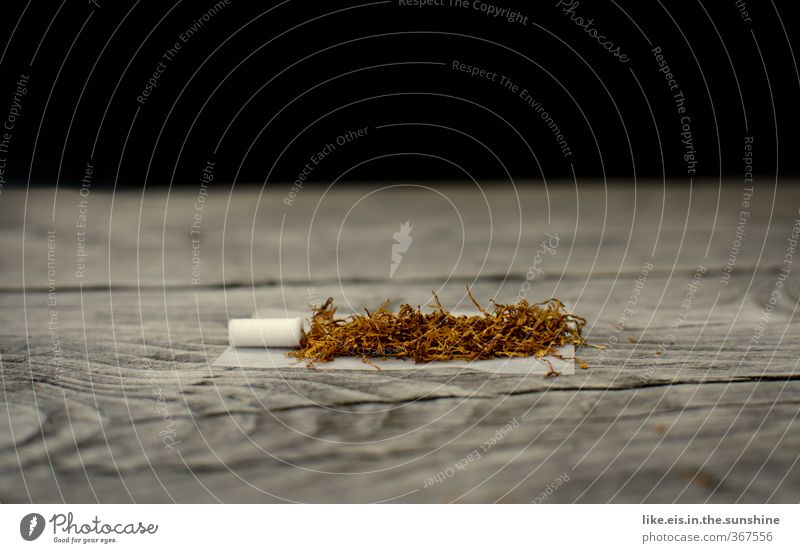 ...smoking break! Wood Rotate Tobacco Tobacco products Cigarette Cigarette break Filter-tipped cigarette Intoxicant Drug addiction Drug-addicted Drug user Break