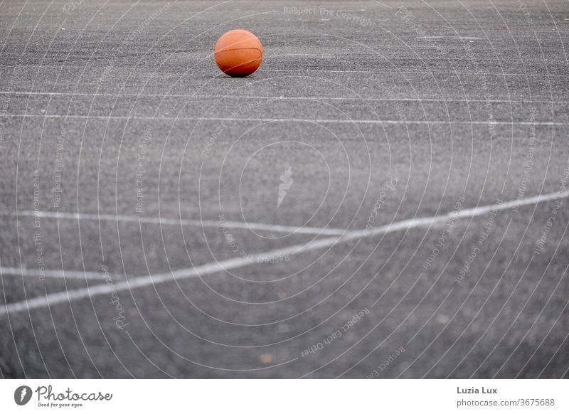 A forgotten ball lies in the evening light on the empty sports field Ball Ball sports Sports Playing Leisure and hobbies Colour photo Exterior shot Deserted