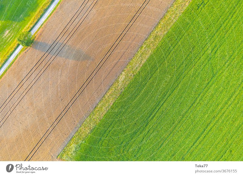 a farming landscape from above meadow field geometry fields grass wheat modern farming tree