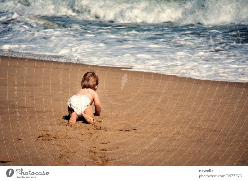 Infant boy crawling on sand towards ocean wave. Baby child crawl on all  fours on tropical beach reaching waterfront rear view. Toddler curiosity of  seaside at summertime. Infancy exploration. - a Royalty