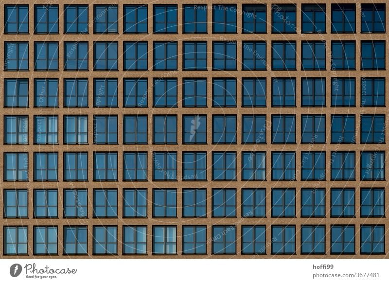 1000 windows, 91visible - the eyes of the city Glazed facade Window pane reflective Roller shutter Minimalistic jalousin Geometry architectural photography