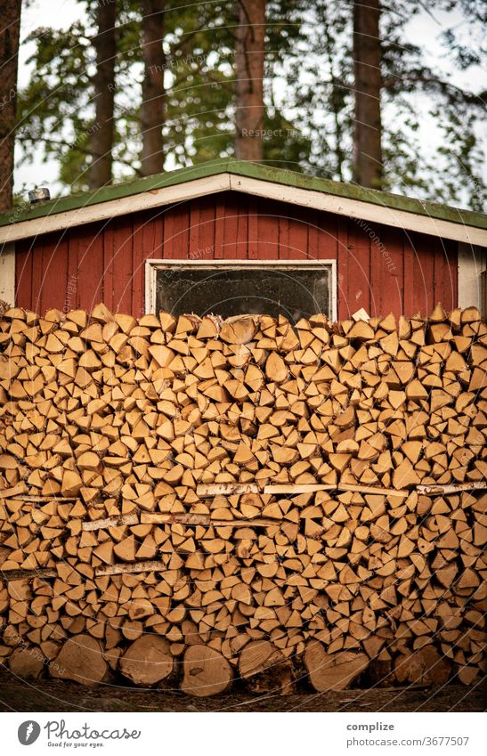 Quite a lot of wood in front of the hut Swedish house Wooden hut Finland Scandinavia Firewood store firewood Sauna Swede vacation Logs