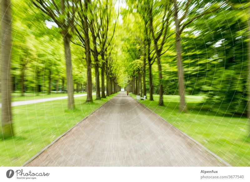 Tunnel view | UT Kassel 19 Forest green Nature tree Colour photo Speed Speed rush Deserted Movement Blur Experimental Multicoloured Motion blur Day