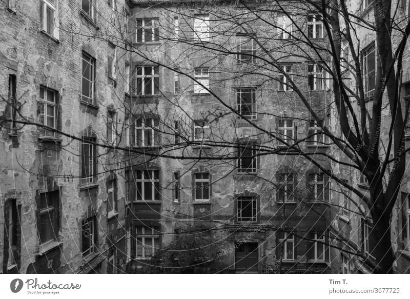 Backyard Berlin Prenzlauer Berg Black & white photo Courtyard Deserted Day Downtown Town Capital city Old town Exterior shot House (Residential Structure)