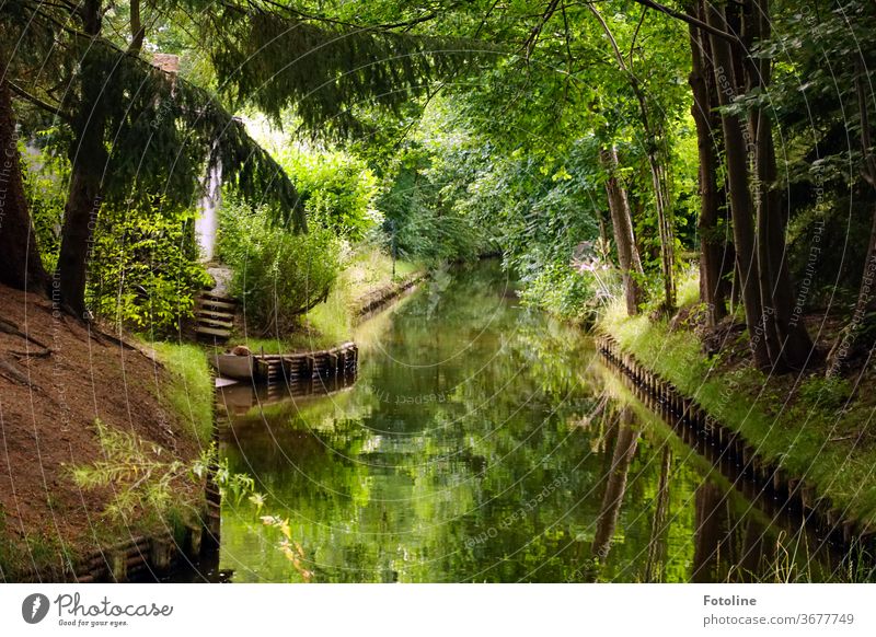 Spreewald Panorama Water Exterior shot Nature River tree Landscape Colour photo Environment Forest Deserted Plant Reflection River bank Beautiful weather