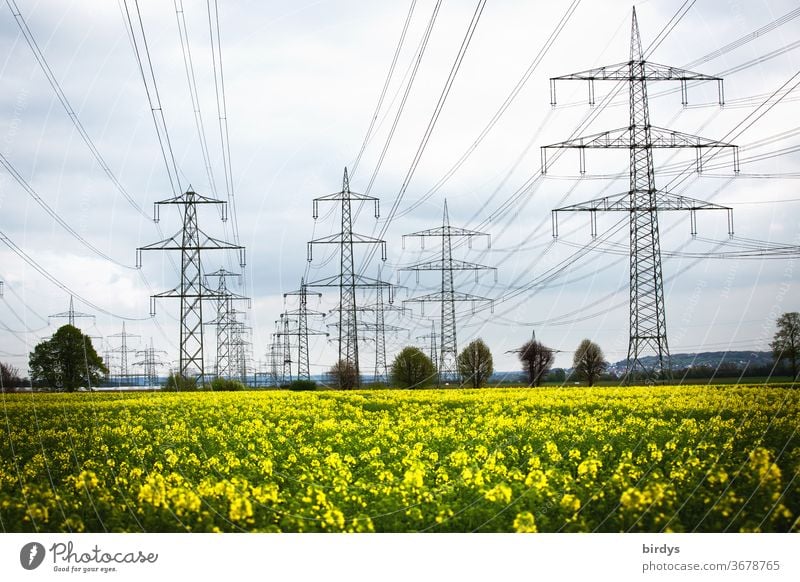 Power line over a rape field. Renewable, green energy. High voltage lines, overhead lines stream power line Energy industry High voltage power line Power poles