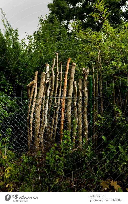 Branches behind wire mesh tree Garden allotment Garden allotments Deserted Nature Plant tranquillity Garden plot Summer trunk shrub Copy Space depth of field