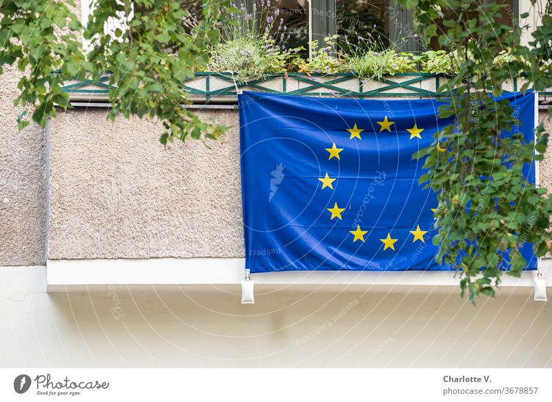Viva Europa | European flag on a balcony Balcony Balcony plants Flag Deserted Blue Yellow Symbols and metaphors Cloth Exterior shot Star (Symbol)