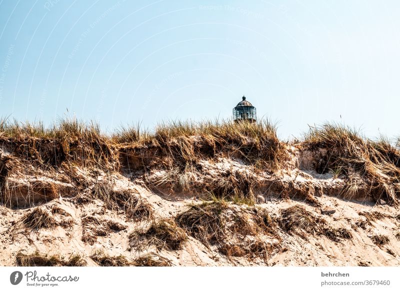 lighthouse love Wanderlust Longing Marram grass Sand Tourist Attraction fischland-darß Germany Lighthouse Deserted Landmark Relaxation Summer Nature Beach Sky