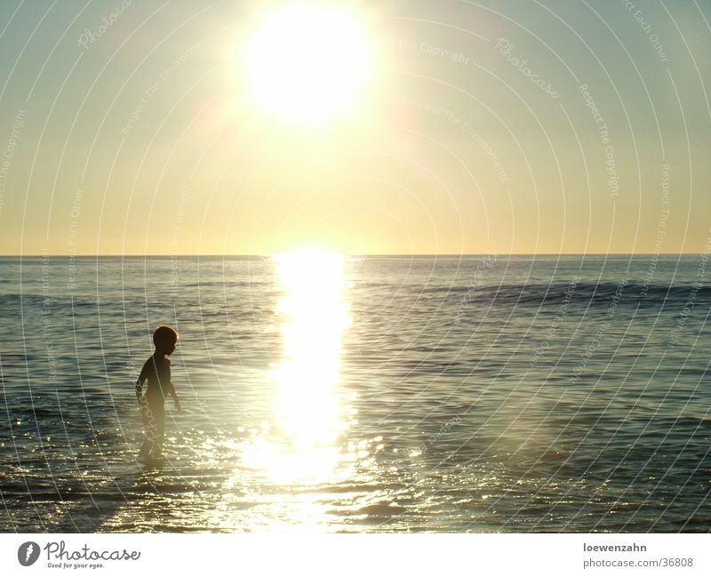 sunsea boy Ocean Sunset Child Man Water