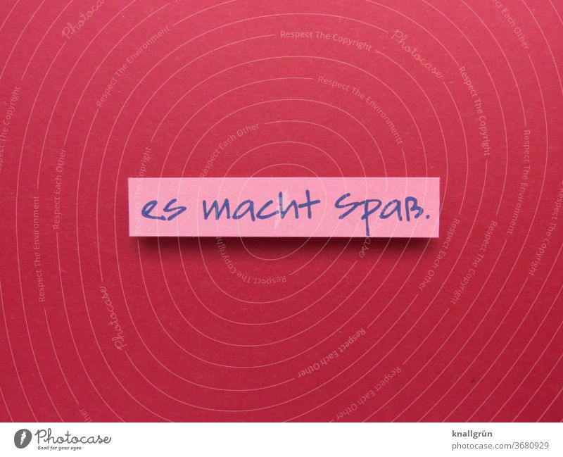 It's fun. Joy luck Emotions Happiness Lifestyle Human being attitude to life Ease Contentment Joie de vivre (Vitality) Optimism Enthusiasm Moody Euphoria