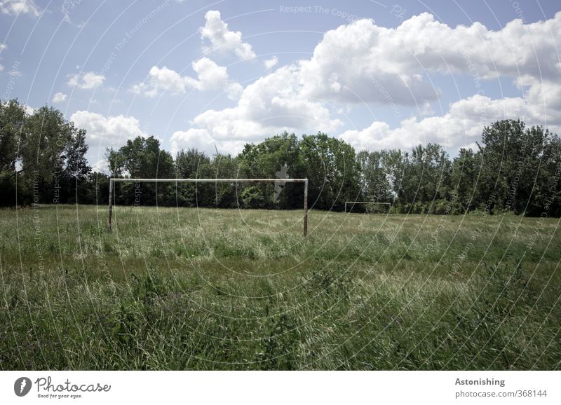 the old football field Sports Ball sports Soccer Sporting Complex Football pitch Environment Nature Landscape Plant Sky Clouds Summer Weather Beautiful weather