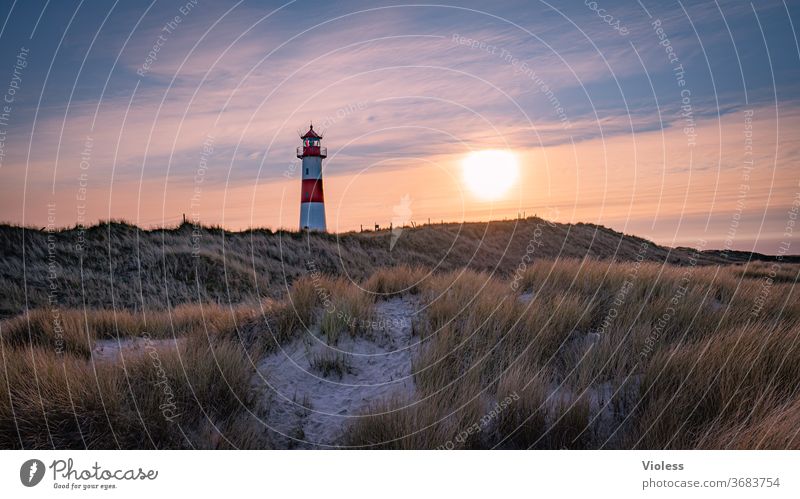 Sylt, a beautiful day is coming to an end Island North Sea Lighthouse List Sunset Marram grass dune vacation travel