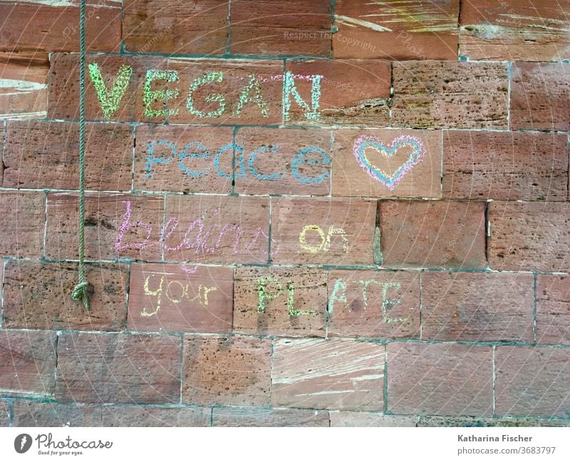vegan graffiti Graffiti Wall (building) Exterior shot Colour photo Characters Letters (alphabet) Facade Day Word Chalk Sign Text Typography Multicoloured Daub