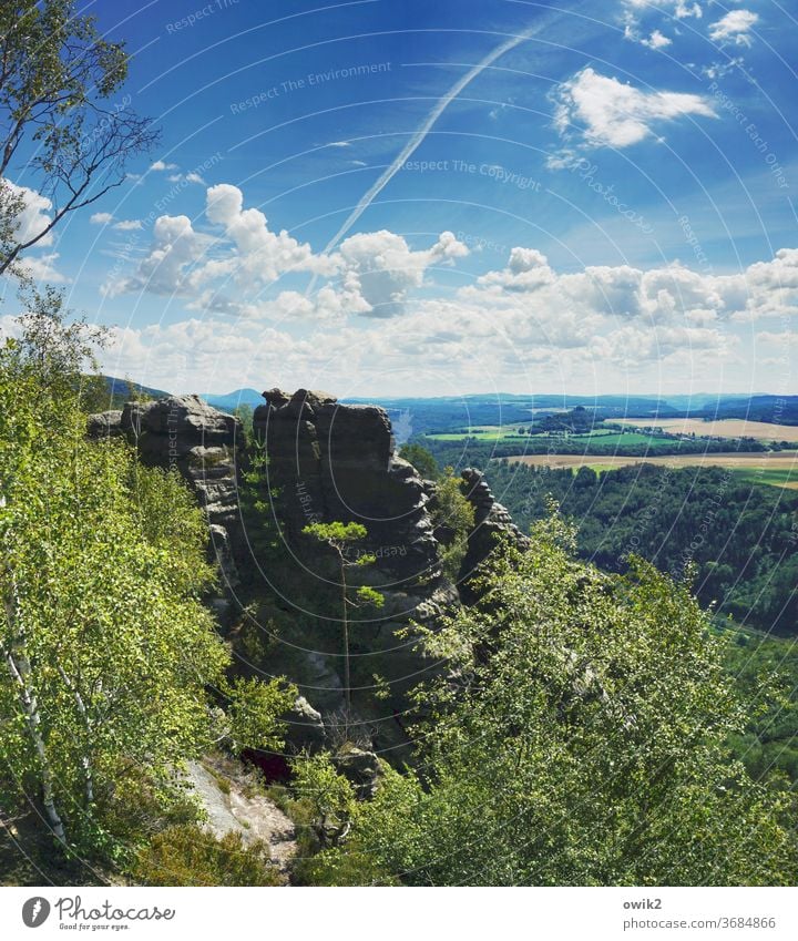 Sandstone sculpture Elbsandstone mountains Environment Tourism Spring Colour photo Exterior shot Deserted Vacation & Travel Day Nature Idyll Tree Copy Space top