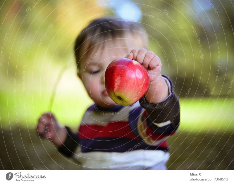 Healthy Toys Food Fruit A Royalty Free Stock Photo From Photocase