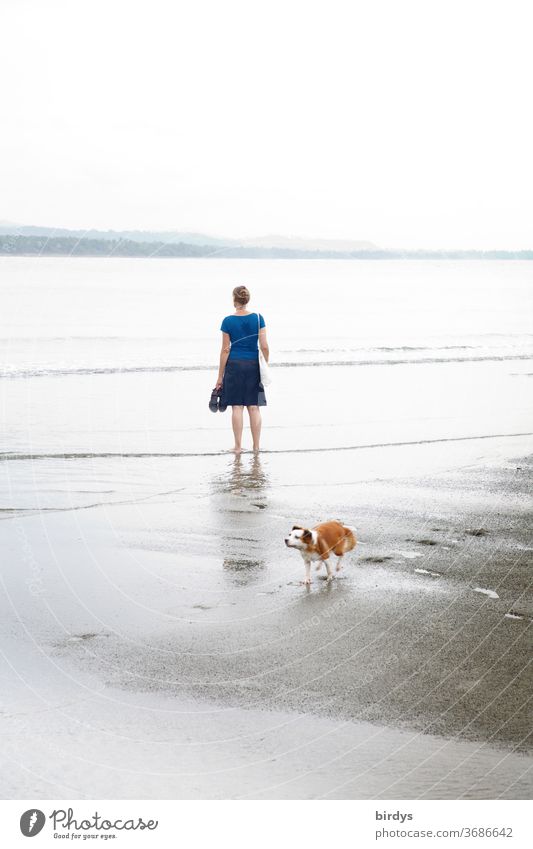 Woman stands barefoot in the water and looks longingly at the sea, behind her a dog runs past Longing Island Beach afar on one's own Loneliness Ocean Dog Water