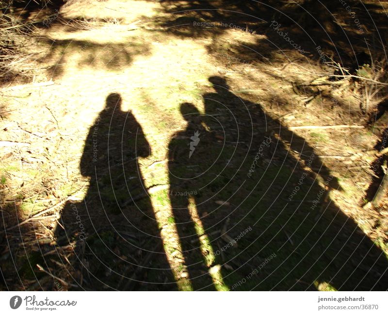 Shadows in the forest Hiking Friendship Woodground To go for a walk Group Sun Nature Human being