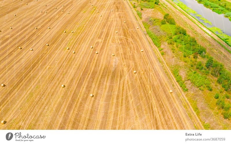Aerial view of lined, round bales of straw on the agricultural field Above Across Agricultural Agriculture Bale Cereal Countryside Crop Drone Dry Farm Farming