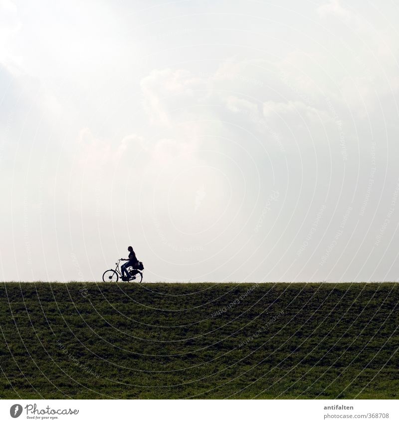 she drives Cycling Bicycle Feminine Woman Adults Body 1 Human being 18 - 30 years Youth (Young adults) Landscape Sky Clouds Sunlight Spring Summer Rhein meadows