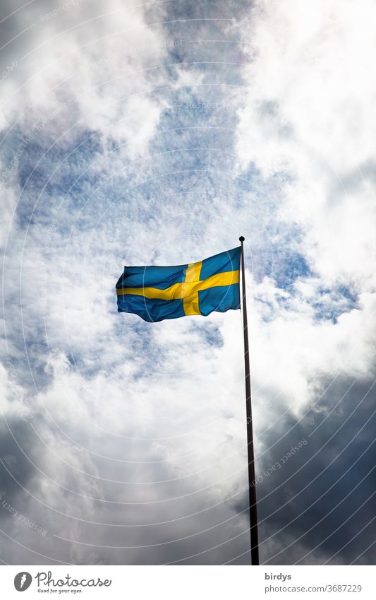 the Swedish flag is waving in the wind in front of the sky and clouds Swede Ensign corona Patriotism Flag Sky Blow Flagpole somber Blue Yellow Scandinavia Wind