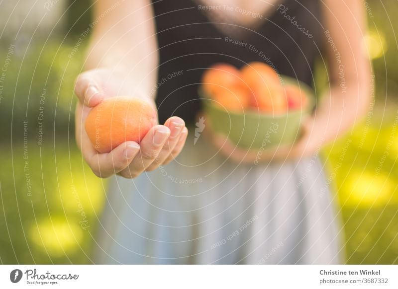 favourite person | young woman offers an apricot and holds a bowl of fruit in the other hand Young woman Hand Apricots Summer Offer stop Vitamin Fresh Juicy