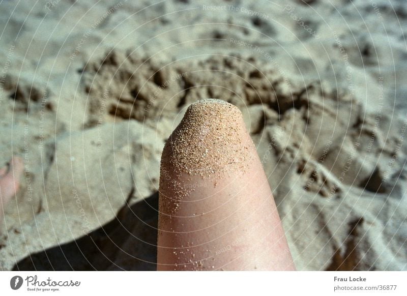 Sand at the knee Beach Ocean Vacation & Travel Knee Relaxation Goof off Sunbathing Human being Legs