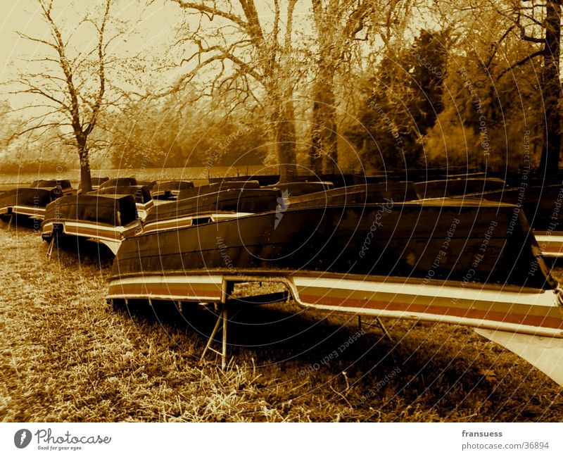 boats Wörlitzer Park Tree Boats. sepia Frost