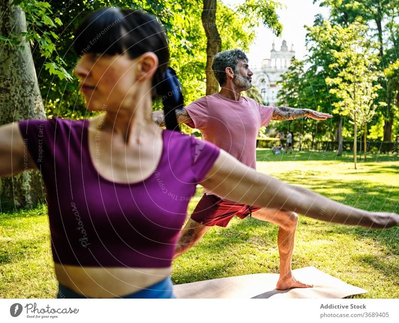 Calm couple practicing yoga in Warrior pose together warrior pose park barefoot sunny virabhadrasana training relationship tranquil healthy serene wellness