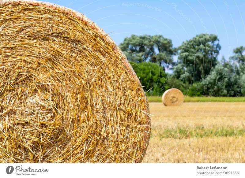 Round bales of straw in a meadow in a hilly landscape. Álava Province,  Basque Country, Spain - a Royalty Free Stock Photo from Photocase