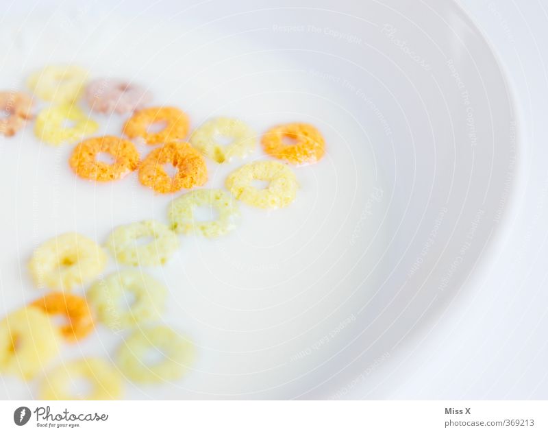 rings Food Dairy Products Grain Nutrition Breakfast Milk Delicious Round Sweet Cornflakes Multicoloured Circle Morning break Cereals Colour photo Close-up