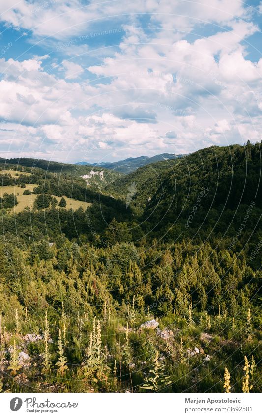 View of a beautiful landscape of Zlatibor mountain range in Serbia adventure background beauty blue clouds cloudy countryside ecology environment europe