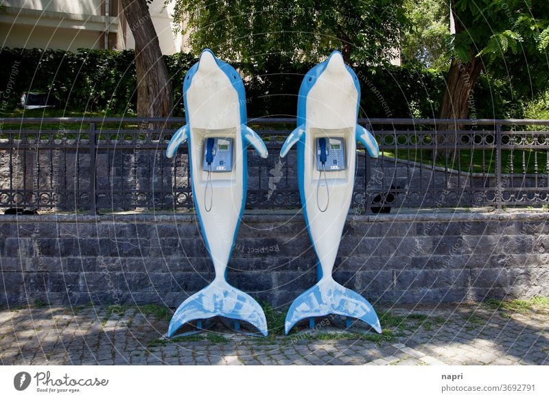 Dolphin-Hotline | Two plastic dolphins with a public phone in their stomach Telephone Phone box Communicate Receiver Connection Retro Analog Contact Fish