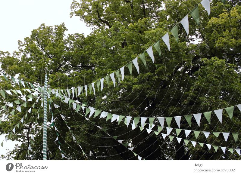 Party - many garlands with green and white flags hang over a village square Decoration celebration Firm Jewellery Village square stake White tree partying