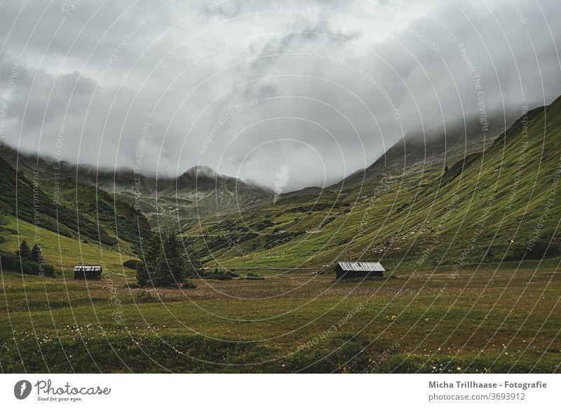 Wafts of mist over the mountains Serfaus Fiss-Ladis Austria Alps valleys Landscape Nature Fog wafts of mist Chalet vacation Mountain huts wooden huts Grass