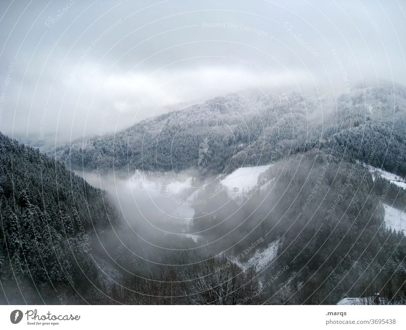 Uncomfortable weather in the low mountain range Valley Cold Forest Frost Ice Fog Landscape Mountain Snow Winter Clouds Bird's-eye view Highlands