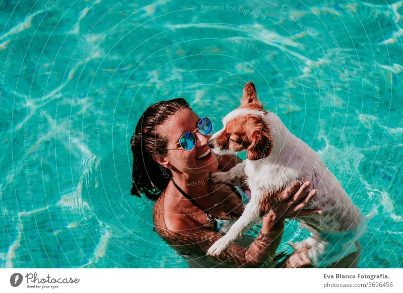 happy young woman and dog in a pool having fun. Summer time swimming pool blue water summer time love jack russell hat together togetherness kiss purebred