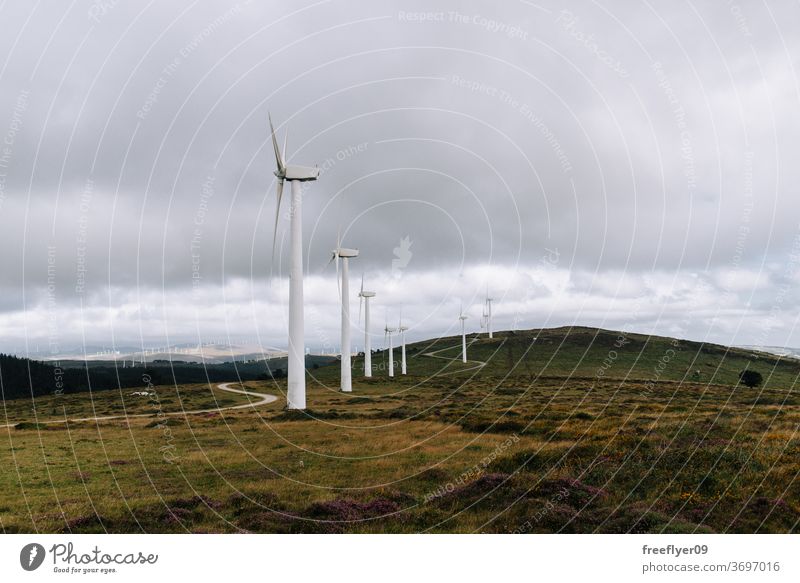 Wind turbines on an open field wind turbine eco energy electricity ecology copy space sky galicia spain clean farm alternative generator generation green nature