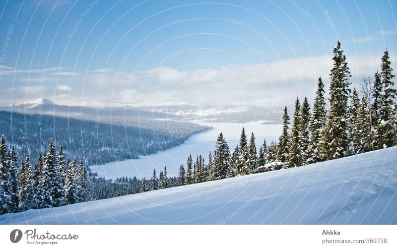Panoramic view of a winter sunny snowy valley with a large lake lined with wooded snowy trees and covered by a blue sky with a ray of sunlight falling into it