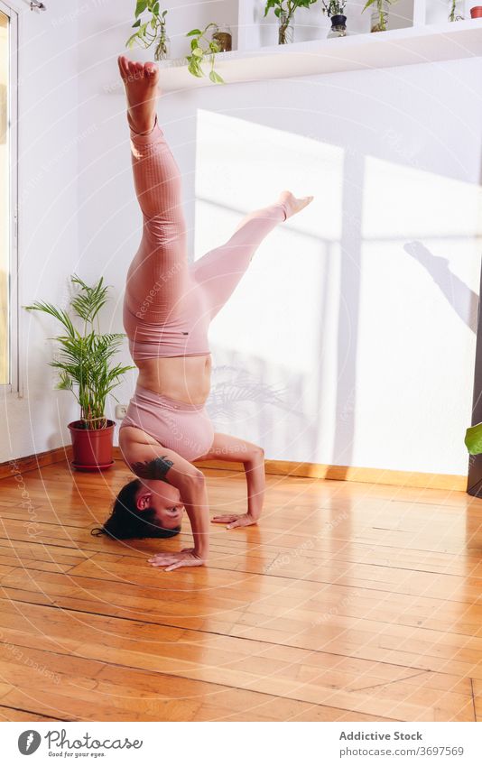 Woman doing yoga in Supported Headstand pose headstand woman supported headstand pose salamba sirsasana flexible balance home plump female healthy wooden floor