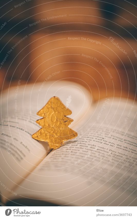 Small golden fir tree stands on an open book. Christmas. Book Christmas story Reading christmas tree Christmas & Advent Literature Christmas tree