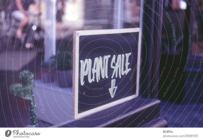 Plant purchase for plant freaks Signs and labeling Characters Blackboard Window Shopping SHOPPING Signage sale Store premises Deserted Colour photo