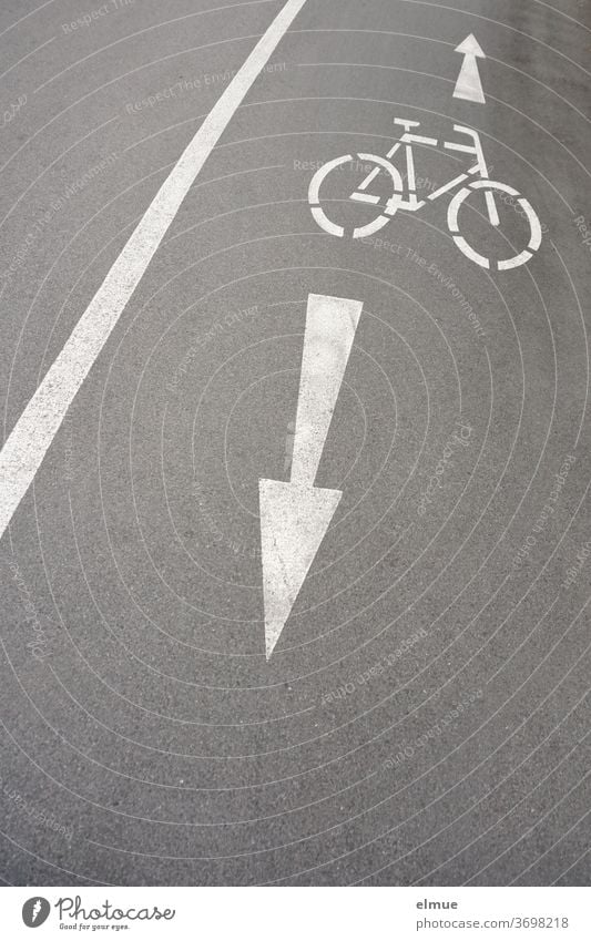 On the grey, asphalt cycle path next to the road, white pictograms of one wheel and two arrows indicate to the cyclist that he/she must expect oncoming traffic