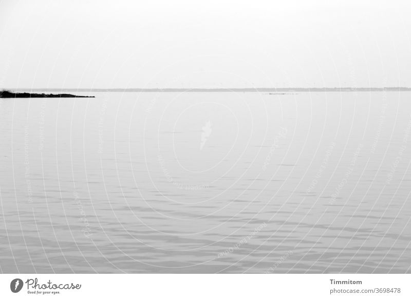 Fjord with small headland Denmark Ringkøbingfjord North Sea Water Waves Smooth Promontory Horizon Black & white photo Sky Deserted Vacation & Travel