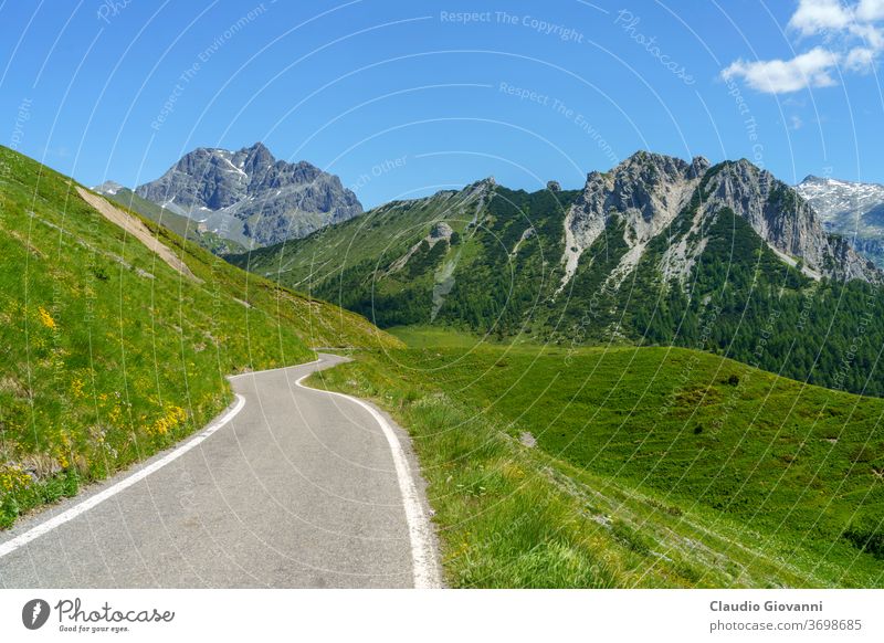Mountain landscape along the road to Crocedomini pass Brescia Europe Italy June Lombardy color day green mountain nature photography plant scenic summer sunny