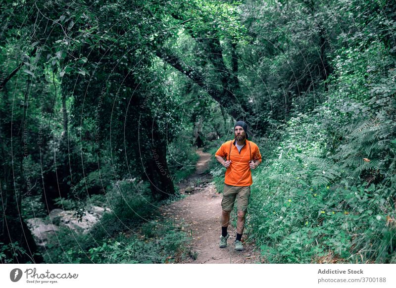 Male tourist walking in green forest woods summer vacation man travel hiker trail holiday tourism male trip tree traveler enjoy nature adventure journey