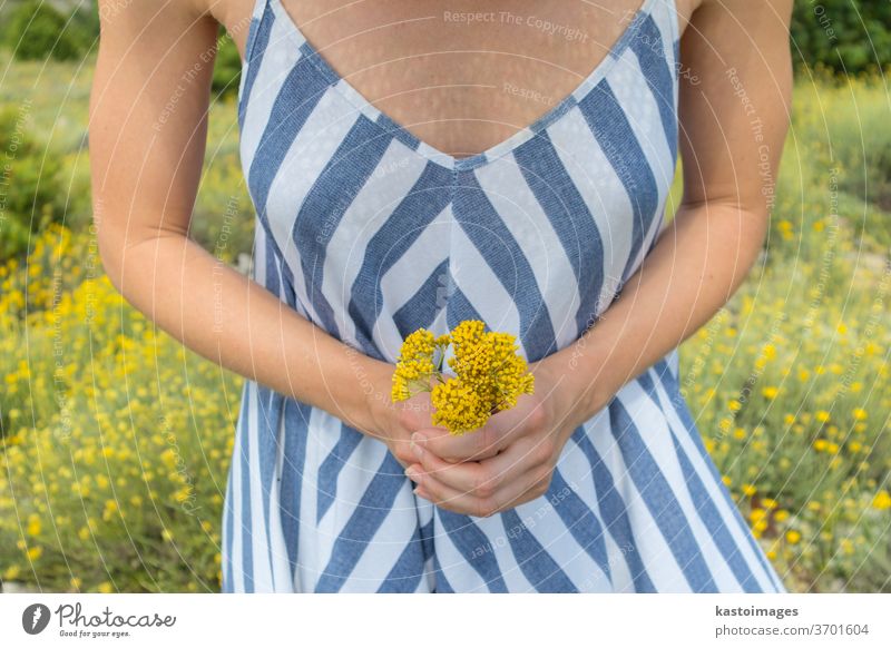 Torso of young woman wearing striped summer dress in super bloom of wildflowers, holding bouquet of yellow flowers in beautiful nature of Adriatic sea coastal nature of Croatia