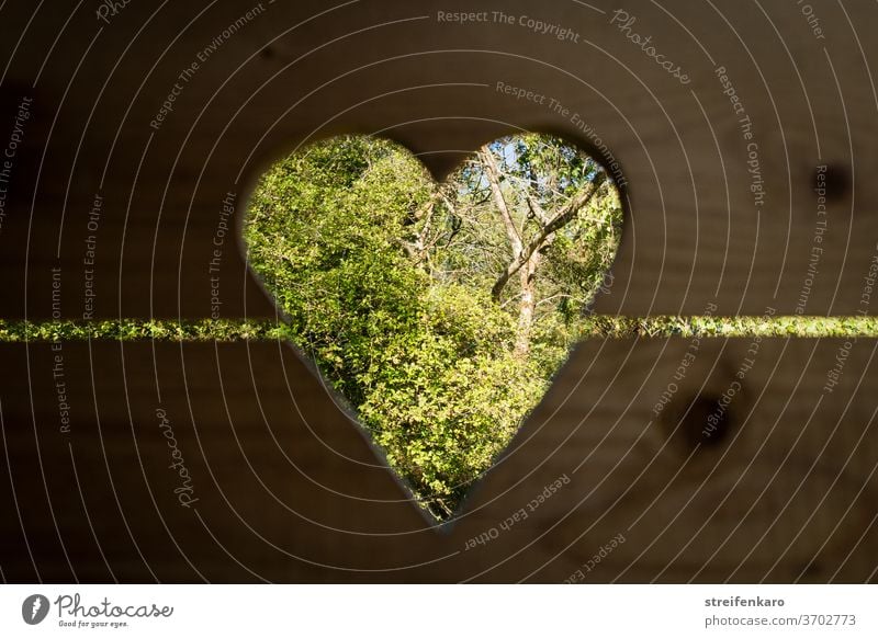 Easier view into the greenery through the heart-shaped opening in the door of the old outhouse Heart Latrine Toilet wood Day hut Colour photo Deserted Brown